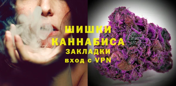 прущие грибы Протвино