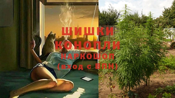 a pvp Горняк