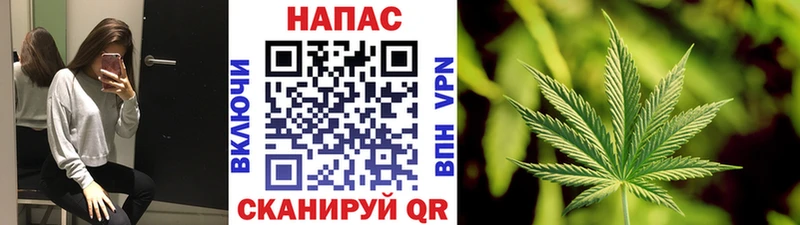 Каннабис SATIVA & INDICA Елабуга